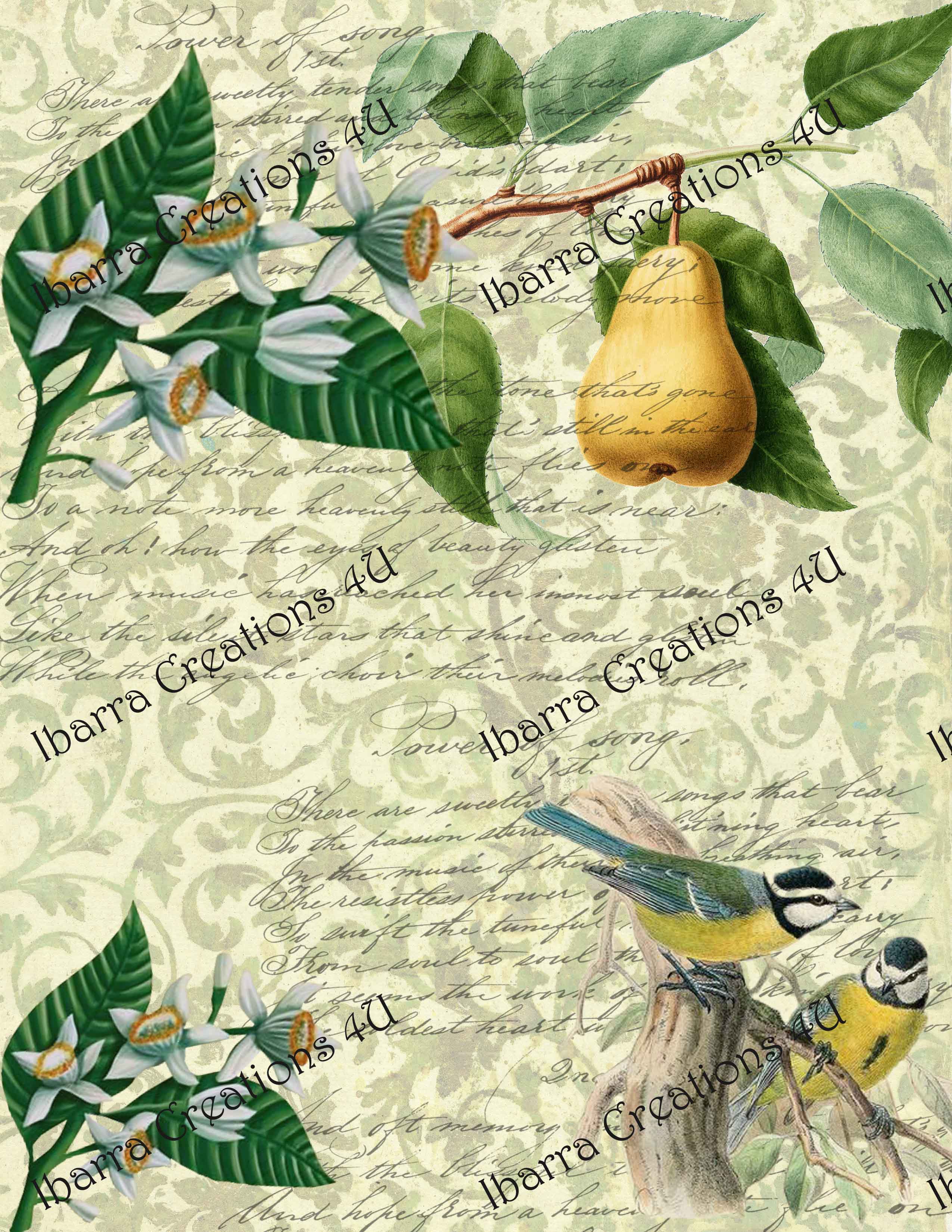 Digital Kit - Birds Fruit Theme with Fancy Pocket, Manila Tags, Circle Tags