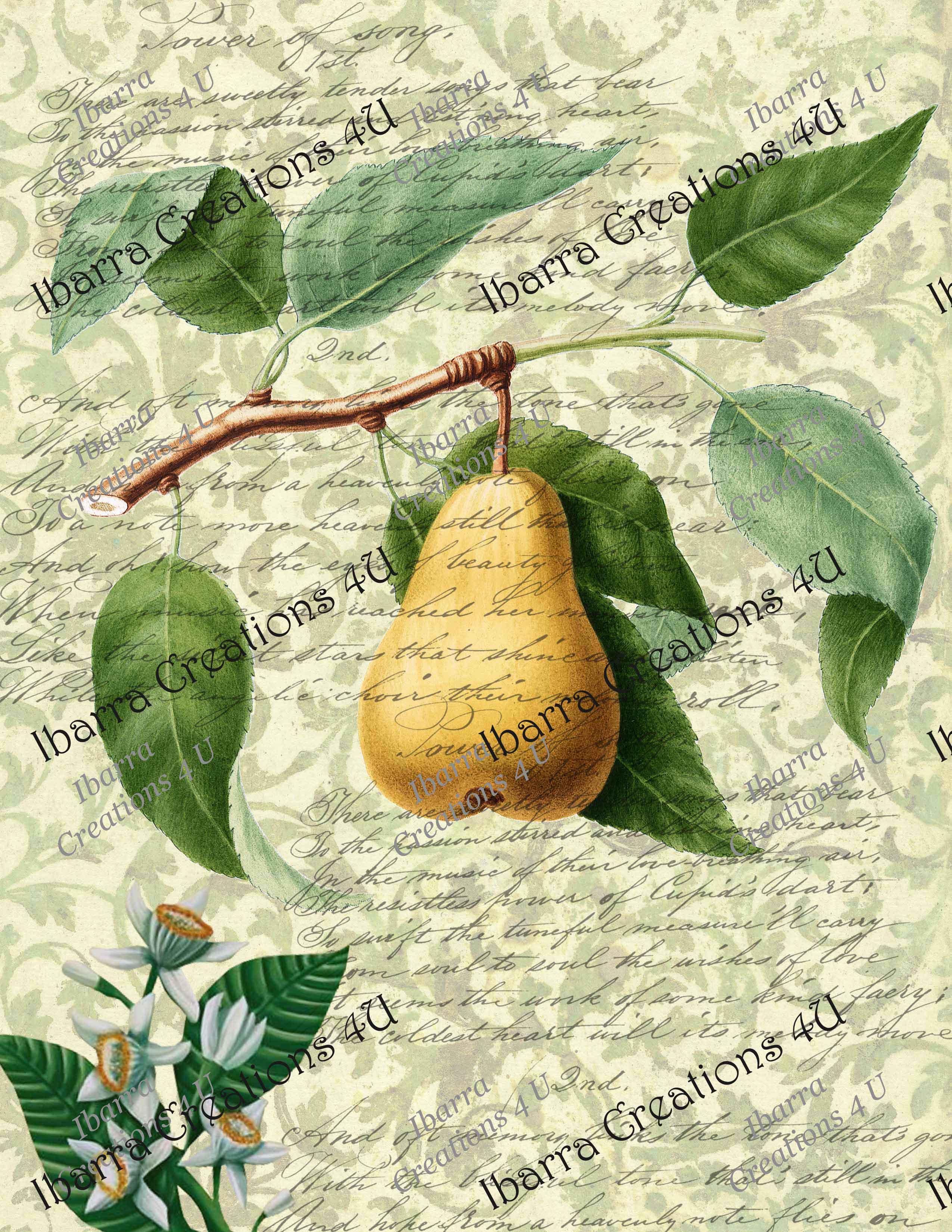 Digital Kit - Birds Fruit Theme with Fancy Pocket, Manila Tags, Circle Tags
