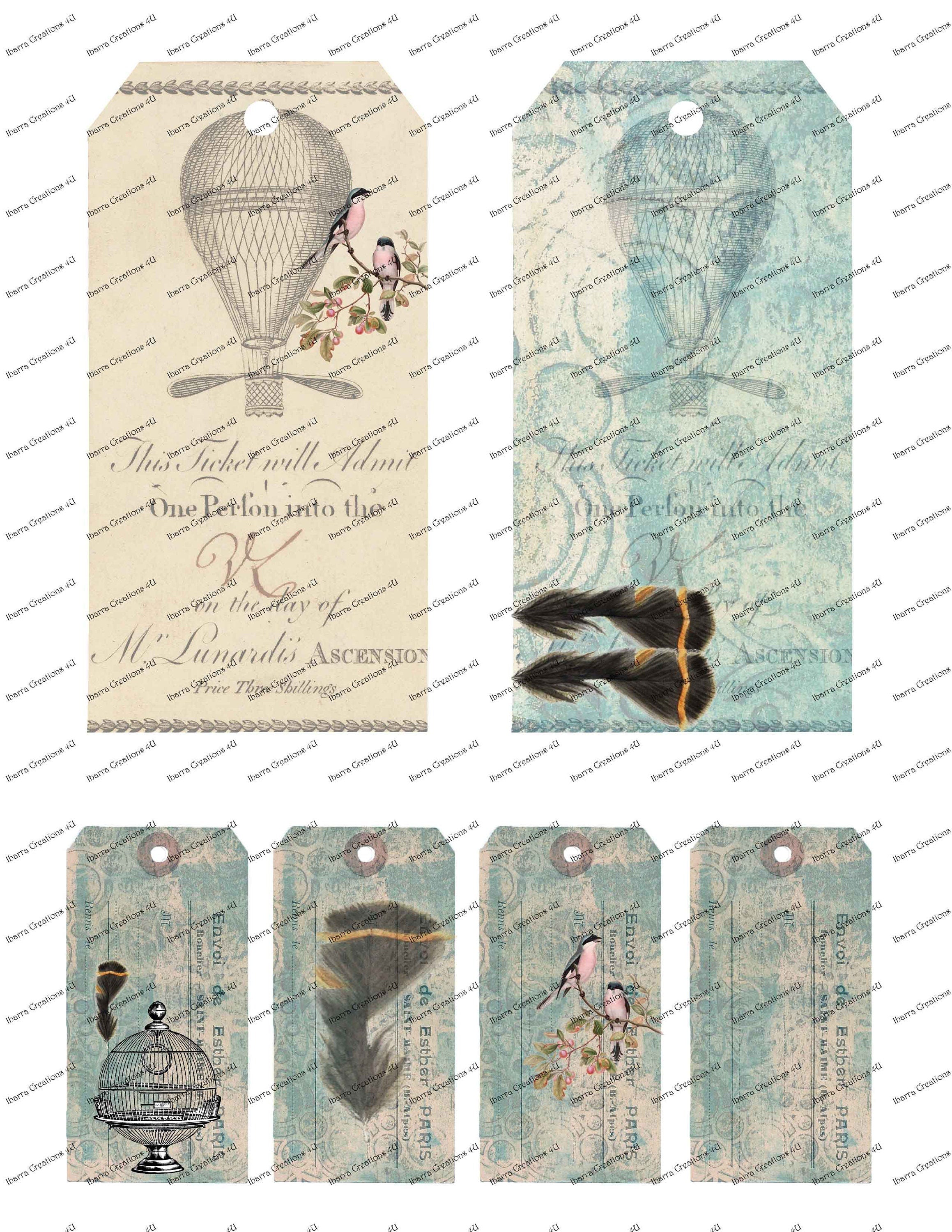 Digital Download-Hot Air Balloon, Feathers